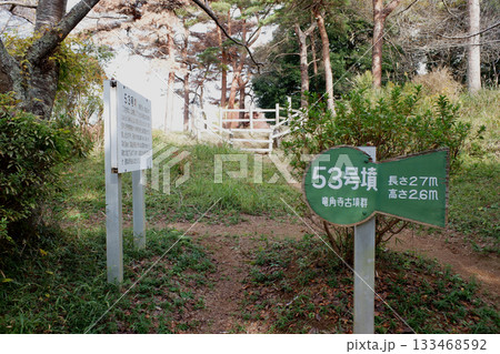 千葉県　龍角寺古墳群・53号墳 133468592