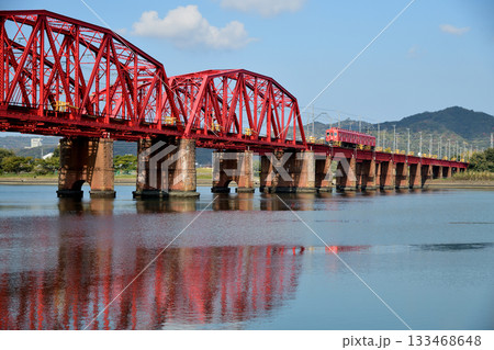紀ノ川橋梁を走るめでたい電車(なな・南海電鉄)　【和歌山県和歌山市】 133468648
