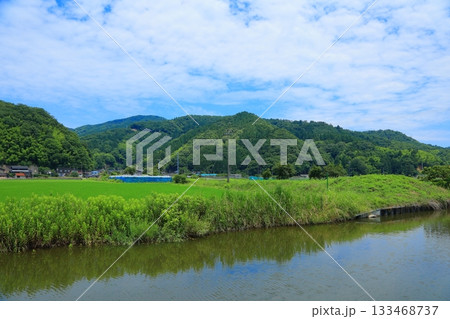 兵庫県 豊岡市 水田の風景 兵庫県 豊岡市 水田の風景 133468737
