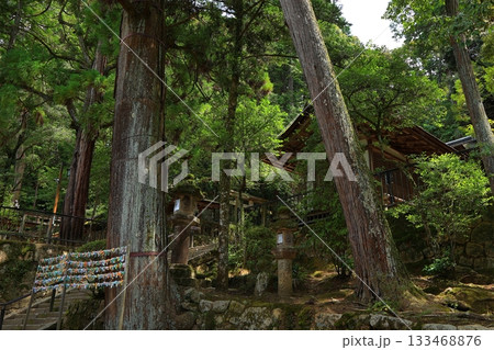 奈良県 天理市 石上神宮 133468876