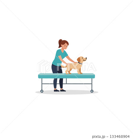 Caring interaction between a veterinarian and a patient dog on an examination table enhancing 133468904