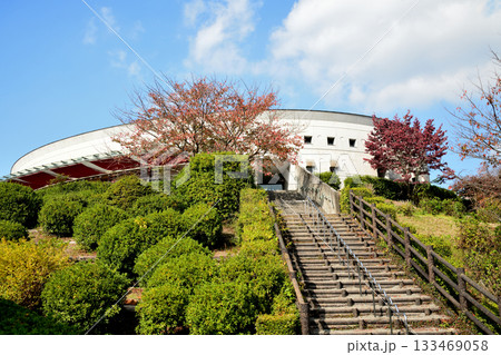 フラワーヒルミュージアム(道の駅・清州の里)　【和歌山県紀の川市】 133469058