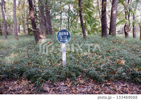 千葉県　龍角寺古墳群・86号墳 133469088