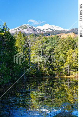 乗鞍高原・牛留池に映る冠雪の乗鞍岳と常緑樹林の晩秋風景 133469165