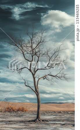 Brown dried tree on cracked soil ground terrain, water crisis on extreme summer Brown dried tree on cracked soil ground terrain, water crisis on extreme summer 133469285