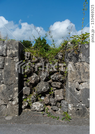 琉球石灰岩の石垣と入り口が石で埋められた壁 琉球石灰岩の石垣と入り口が石で埋められた壁 133469325