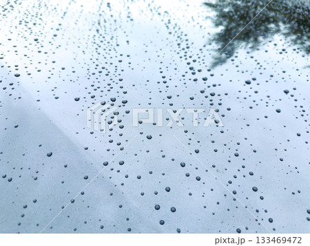 Drops of rain softly glisten on a smooth surface, reflecting the world above during a tranquil afternoon after a gentle shower Drops of rain softly glisten on a smooth surface, reflecting the world above during a tranquil afternoon after a gentle shower 133469472