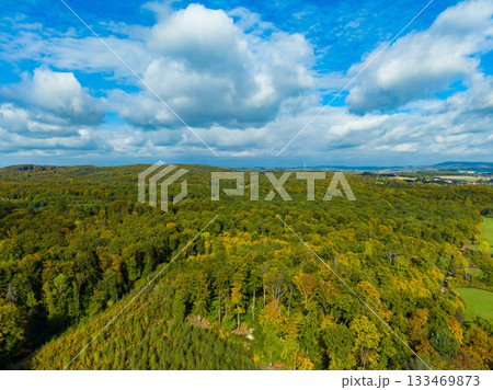 Lush green forest under a vast sky filled with fluffy clouds on a bright autumn day 133469873