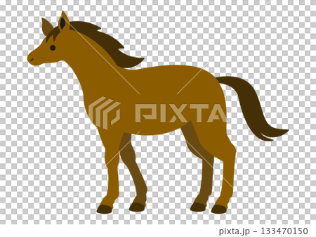可愛的棕色站立馬向量插圖 可愛的棕色站立馬向量插圖 133470150