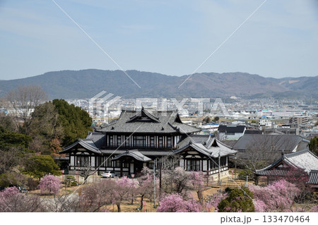 大和郡山城跡(城跡会館・しだれ梅) 　【奈良県大和郡山市】 133470464