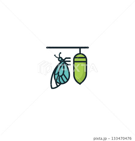Metamorphosis stage displayed with butterfly emerging from chrysalis icon represents Metamorphosis stage displayed with butterfly emerging from chrysalis icon represents 133470476