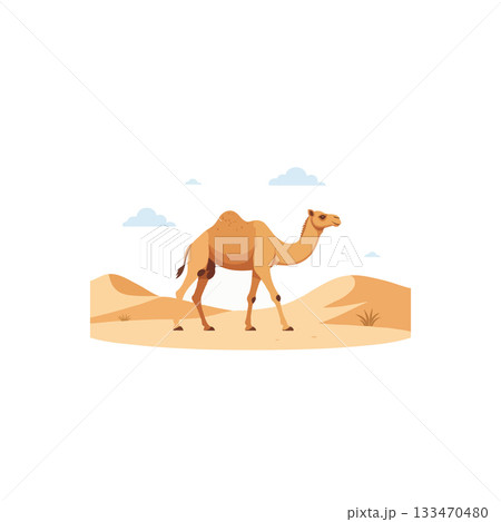Illustration of a camel traversing the arid desert landscape, showcasing the animal adaptation and 133470480