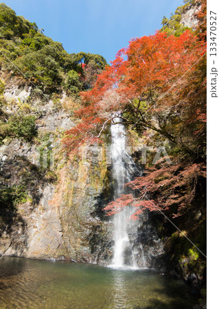 錦秋の箕面大滝 133470527