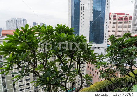 パークロイヤル コレクション ピッカリング シンガポール 133470764