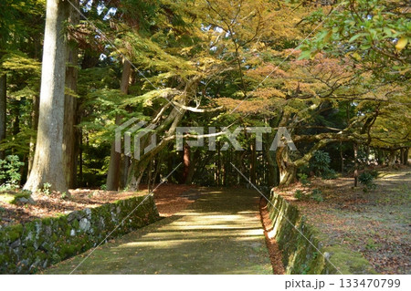 錦秋の荘厳寺 錦秋の荘厳寺 133470799