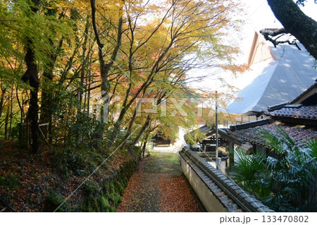 錦秋の荘厳寺 133470802