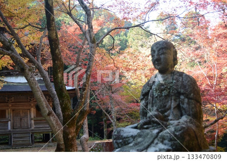 錦秋の荘厳寺 133470809