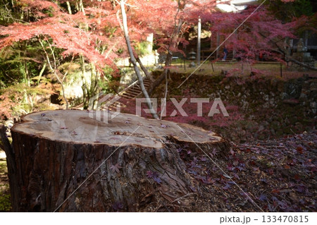 錦秋の荘厳寺 錦秋の荘厳寺 133470815