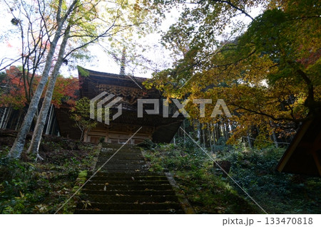 錦秋の荘厳寺 133470818