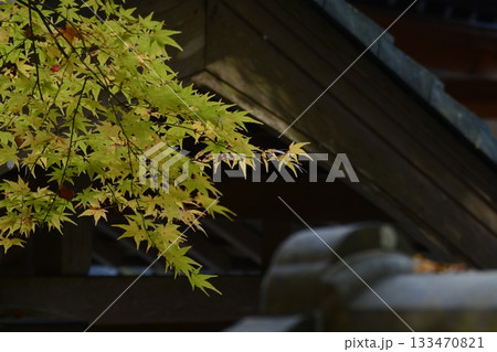 錦秋の荘厳寺 錦秋の荘厳寺 133470821