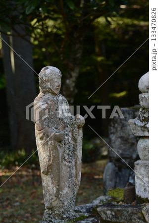 錦秋の荘厳寺 133470826