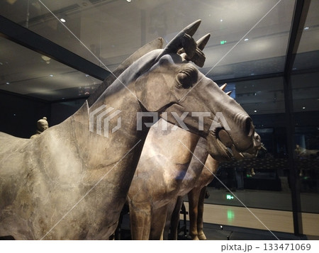 Xi'an, China - Jan 2,2025 :  Famous Terracotta Army on display in the Museum of the Terra-cotta Warriors in Xi'an, China on Jan 2,2025.  133471069