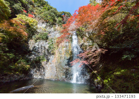 錦秋の箕面大滝 133471193