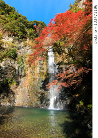 錦秋の箕面大滝 錦秋の箕面大滝 133471196