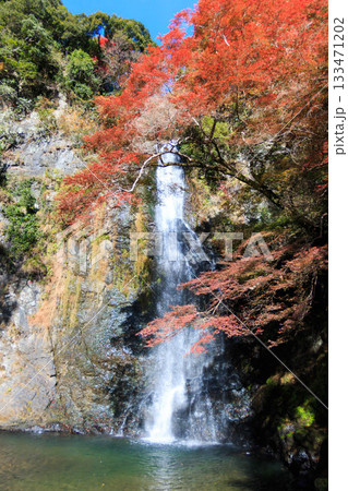 錦秋の箕面大滝 錦秋の箕面大滝 133471202