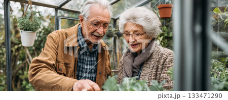 Elderly couple gardening together in greenhouse, smiling while tending plants with gentle care and cozy clothing Elderly couple gardening together in greenhouse, smiling while tending plants with gentle care and cozy clothing 133471290