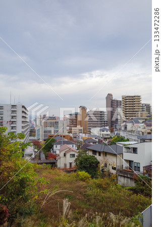 宝塚　遠景 133472286