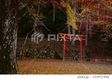 錦秋の洞光寺 133472440
