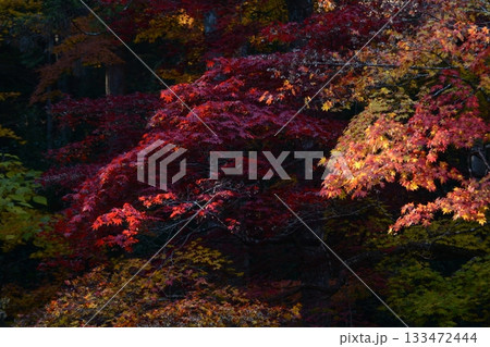錦秋の洞光寺 錦秋の洞光寺 133472444