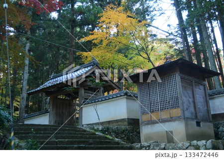 錦秋の洞光寺 133472446