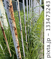 錆びた柵と雑草/The fence 錆びた柵と雑草/The fence 133473243