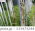 錆びた柵と雑草/The fence 錆びた柵と雑草/The fence 133473244