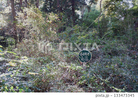 千葉県　龍角寺古墳群・94号墳 133473345