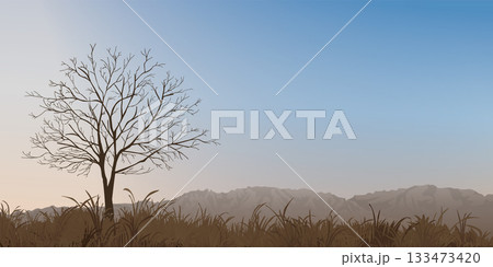 Silhouette leafless tree in minimalist countryside landscape in autumn with mountain ranges far away have sunset sky background graphic illustration. 133473420