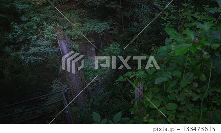 森の中の小さな橋 133473615