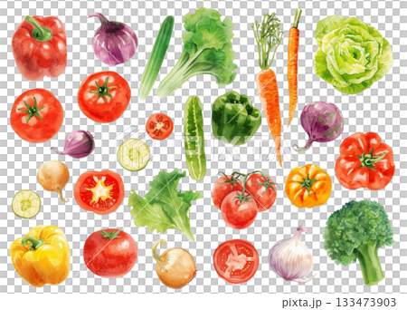 Watercolor style colorful vegetable illustration set 133473903