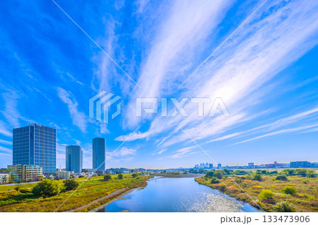 日本の東京都市景観11月24日。早朝の多摩川や一匹の水鳥、煌めく水面、武蔵小杉駅前のタワマン群など… 日本の東京都市景観11月24日。早朝の多摩川や一匹の水鳥、煌めく水面、武蔵小杉駅前のタワマン群など… 133473906