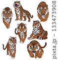 虎 133473908