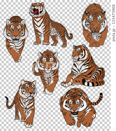 一隻老虎 133473908