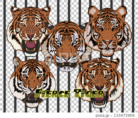 一隻老虎 133473909