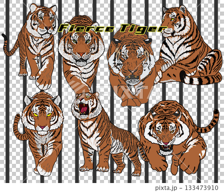 一隻老虎 133473910