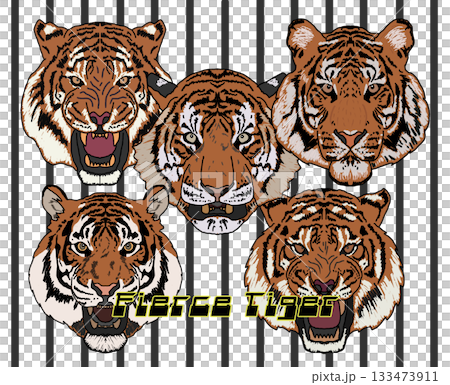 一隻老虎 133473911