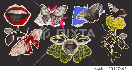 Halftone butterfly sticker collage 133474054