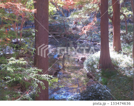 紅葉のある風景 紅葉のある風景 133474636