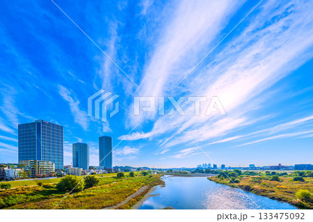 日本の東京都市景観11月24日。早朝の多摩川や一匹の水鳥、煌めく水面、武蔵小杉駅前のタワマン群など… 133475092