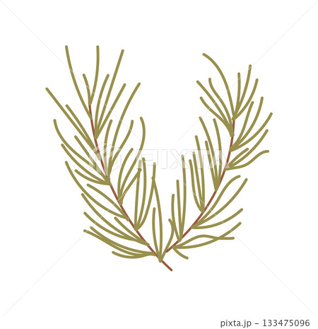 Flat green kraft fir branch decor in minimal style. Fir branch with kraft element and green plant nature as birthday gift or box decor. Subtle flat graphic illustration for elegant event design. Flat green kraft fir branch decor in minimal style. Fir branch with kraft element and green plant nature as birthday gift or box decor. Subtle flat graphic illustration for elegant event design. 133475096